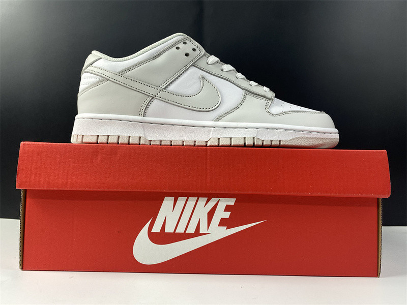 NIKE DUNK LOW PHOTON DUST (W) - DD1503-103