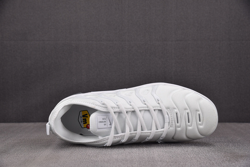NEW Nike Air VaporMax Plus White Pure Platinum 924453-100
