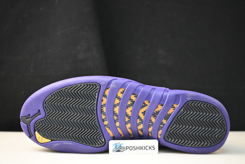 Air Jordan 12 Field Purple CT8013-057