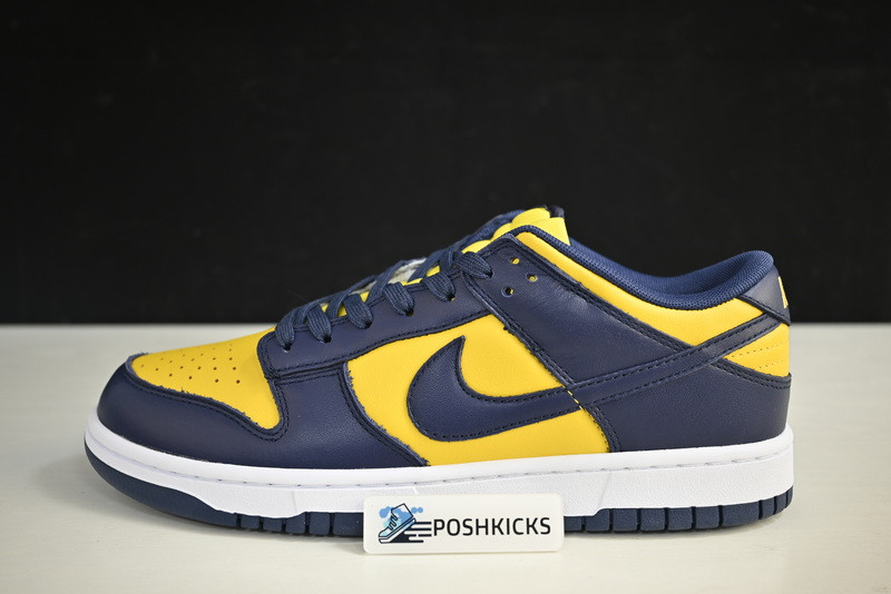 NIKE DUNK LOW MICHIGAN DD1391-700