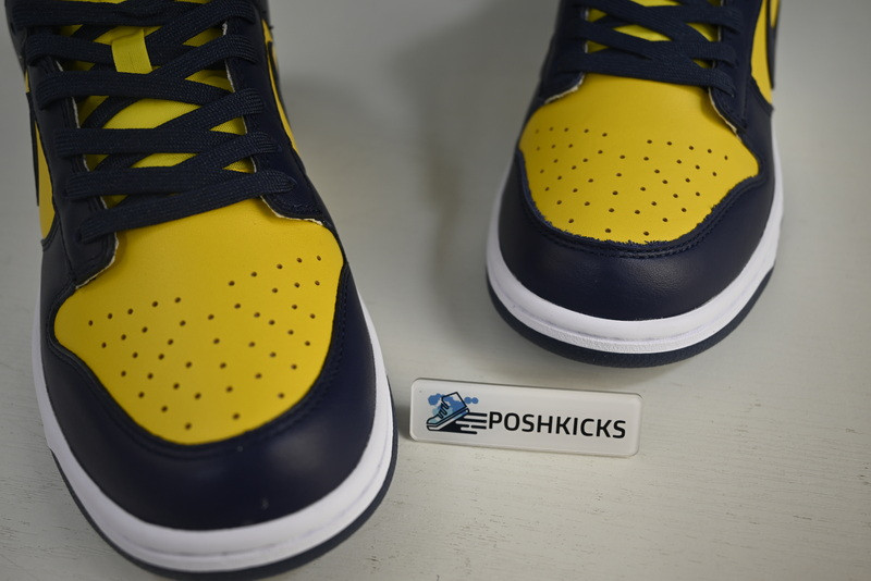NIKE DUNK LOW MICHIGAN DD1391-700
