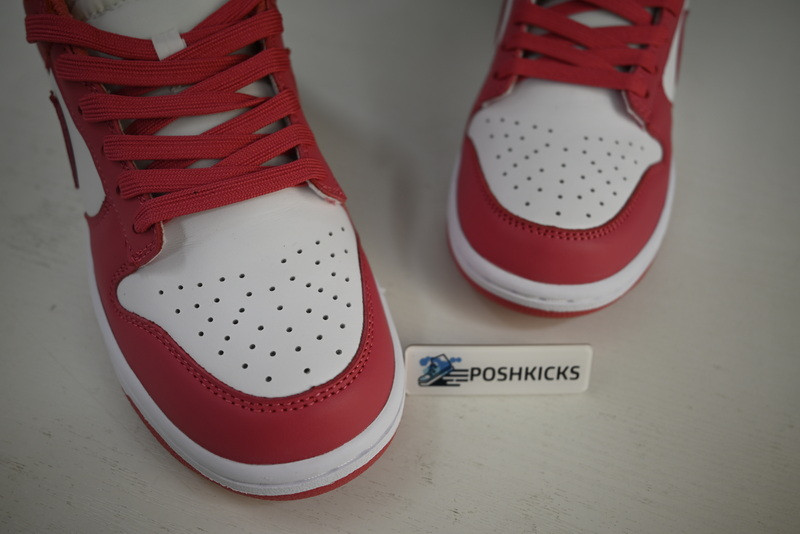 Nike Dunk Low Archeo Pink (W) DD1503-111