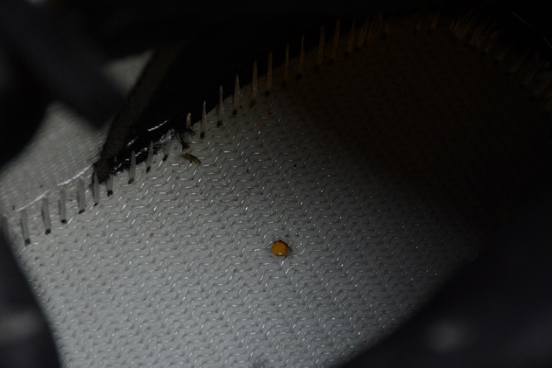 AIR JORDAN 1 MID SHATTERED BACKBOARD 554724-058