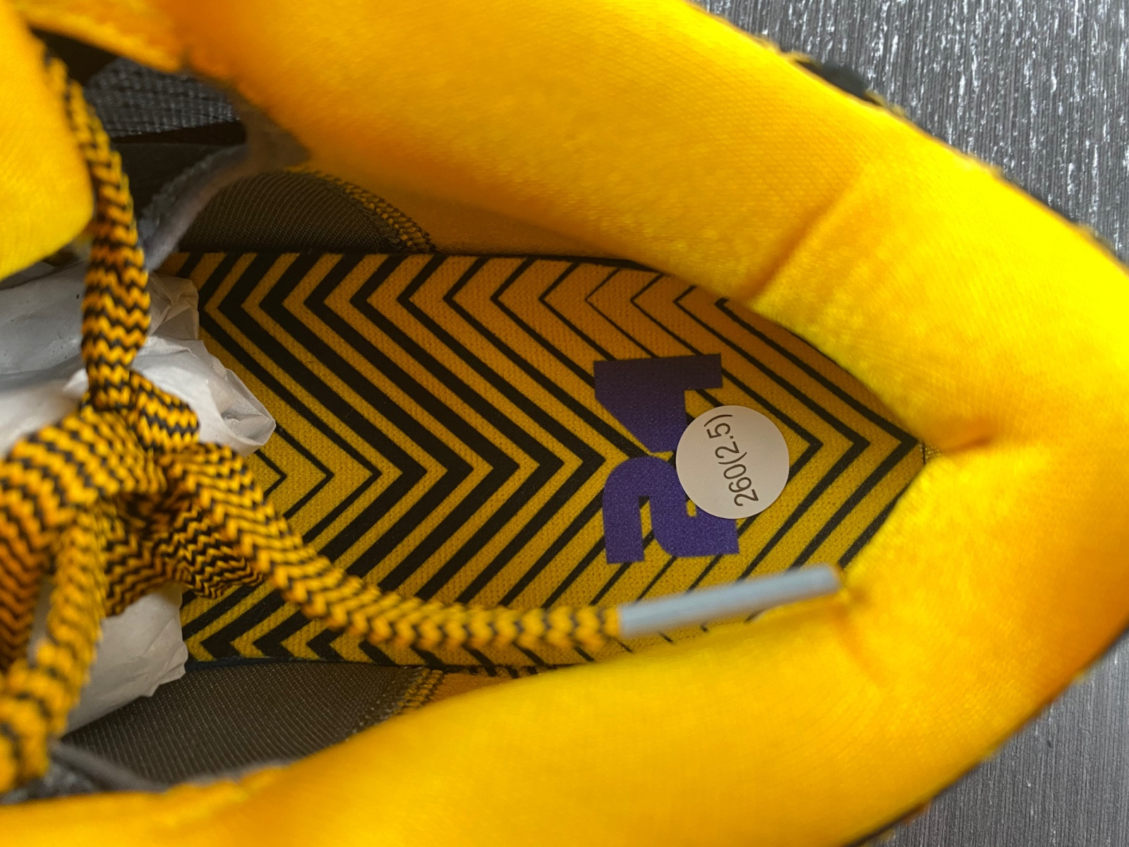 Nike Kobe 4 Protro Carpe Diem Men