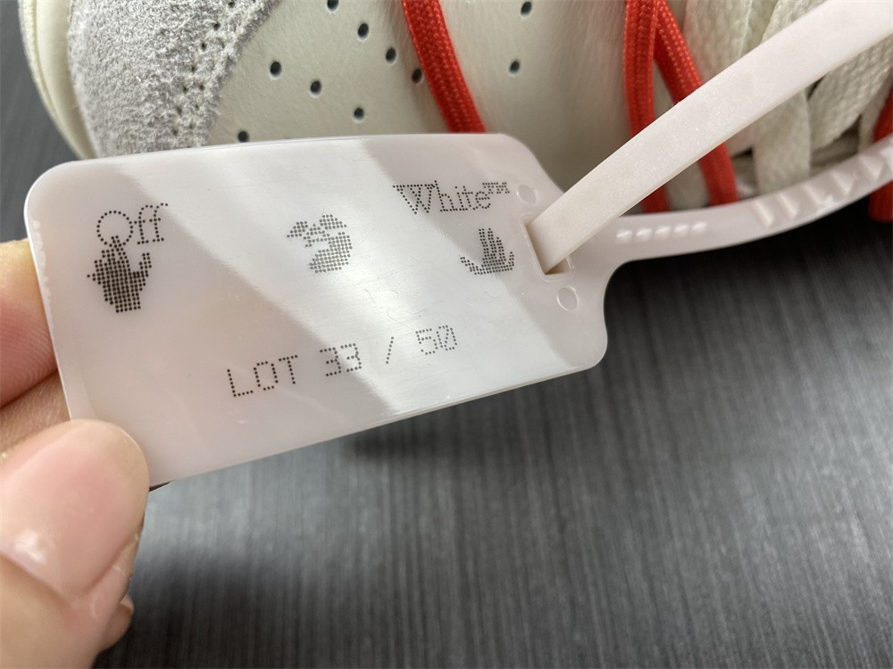 NIKE DUNK LOW OW LOT 33 OF 50 DJ0950-118