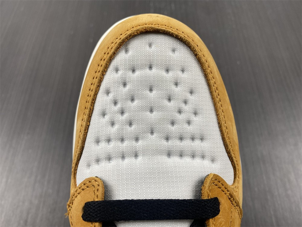 AIR JORDAN 1 HIGH ELEMENT GORE-TEX