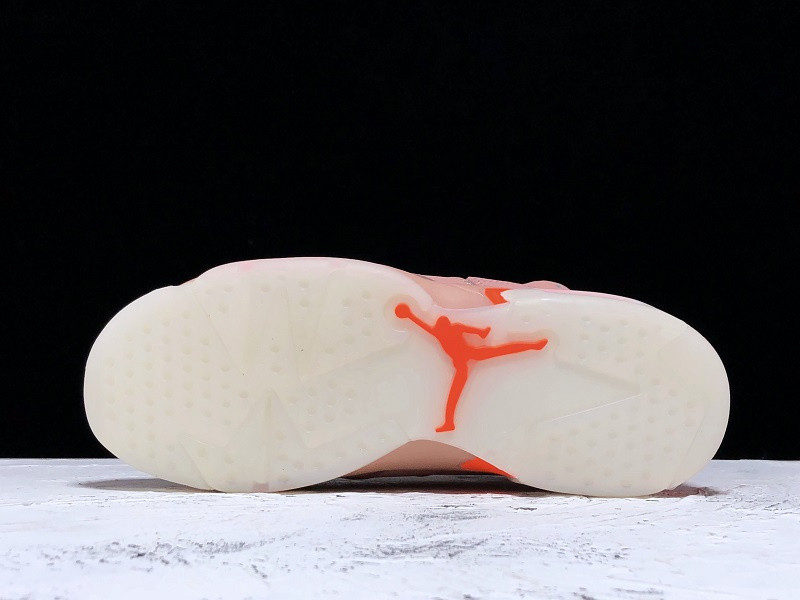 AIR JORDAN 6 ALEALI MAY CI0550-600