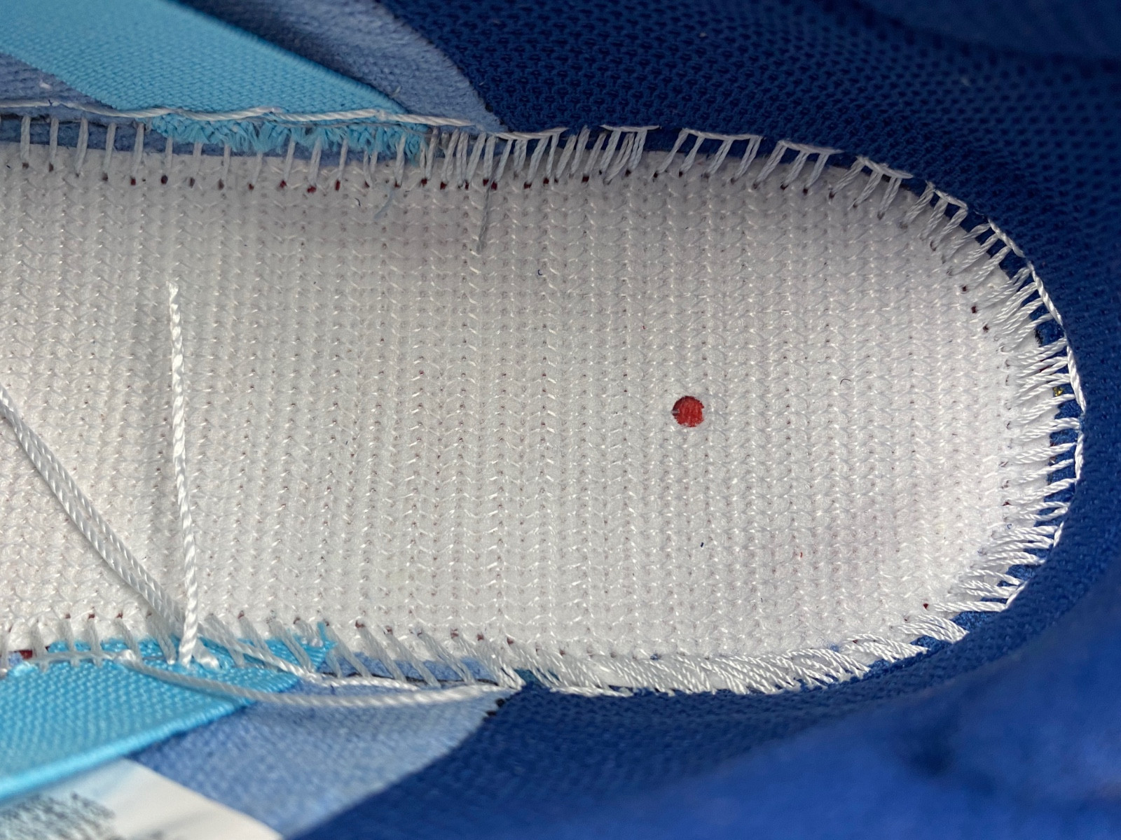 Nike Dunk Low Reverse Panda DJ6188-101