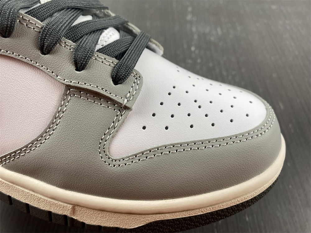 Nike Dunk Low Light Smoke Grey DD1503-117