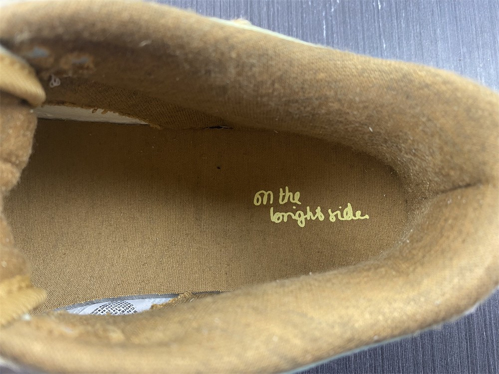 Nike Dunk Low On the Bright Side (W) DQ5076-121