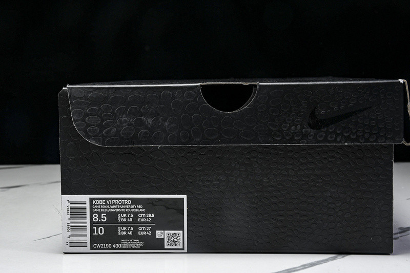 Nike Kobe 6 Protro "Dodgers" CW2190-400