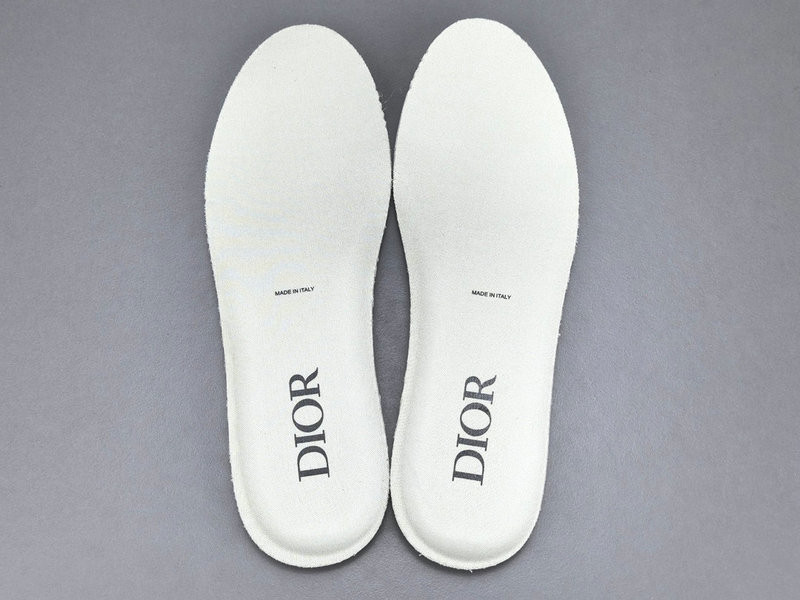 DIOR SNEAKERS