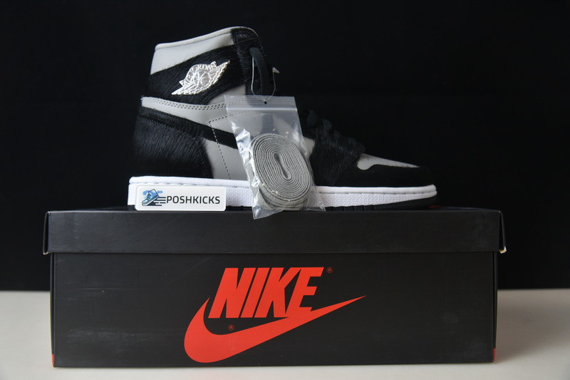 Jordan 1 Retro High OG Twist 2.0 (W) DZ2523-001