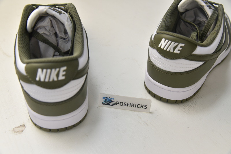 Nike Dunk Low “Medium Olive” DD1503-120