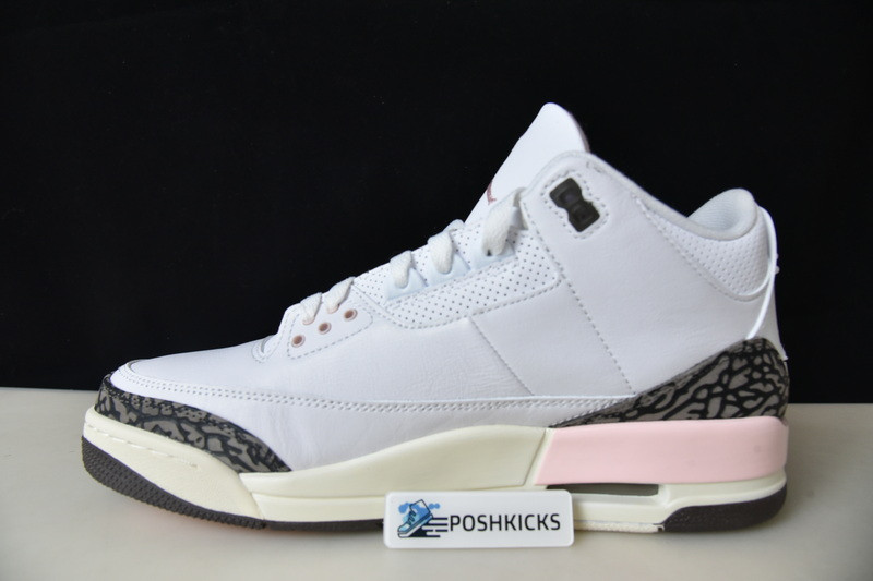 Jordan 3 Retro Neapolitan Dark Mocha (W) CK9246-102
