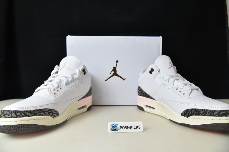 Jordan 3 Retro Neapolitan Dark Mocha (W) CK9246-102