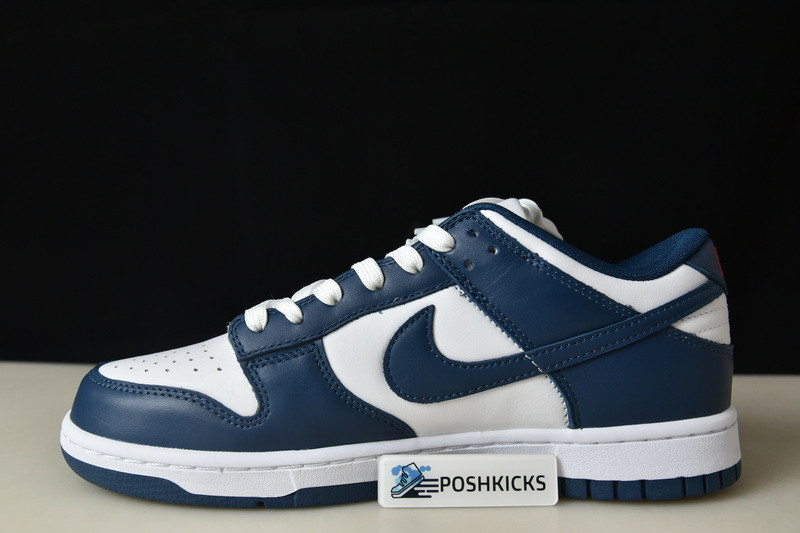 Nike dunk SB Low Retro Valerian Blue DD1391-400