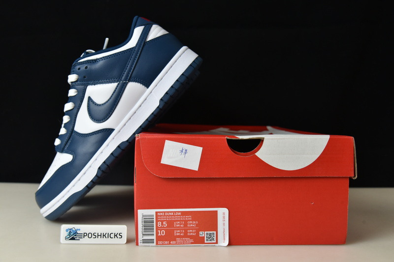 Nike dunk SB Low Retro Valerian Blue DD1391-400