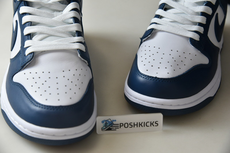 Nike dunk SB Low Retro Valerian Blue DD1391-400