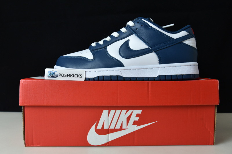 Nike dunk SB Low Retro Valerian Blue DD1391-400