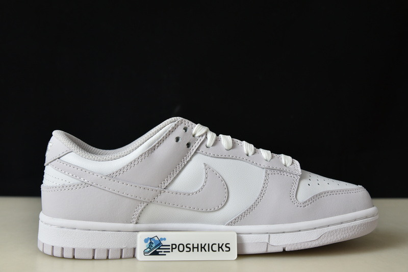 Nike Dunk Low Venice (W) DD1503-116