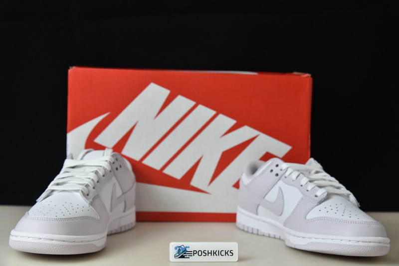 Nike Dunk Low Venice (W) DD1503-116