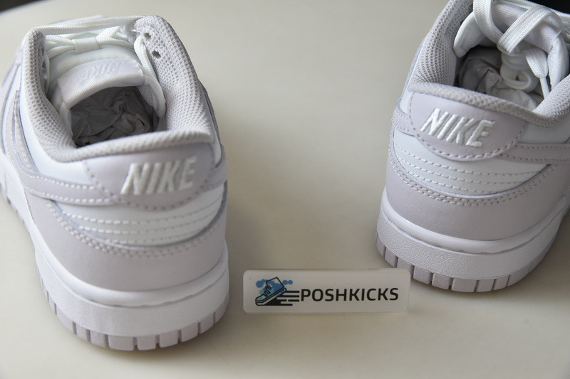 Nike Dunk Low Venice (W) DD1503-116