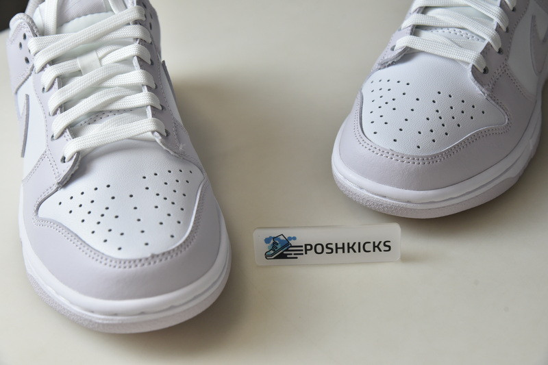 Nike Dunk Low Venice (W) DD1503-116