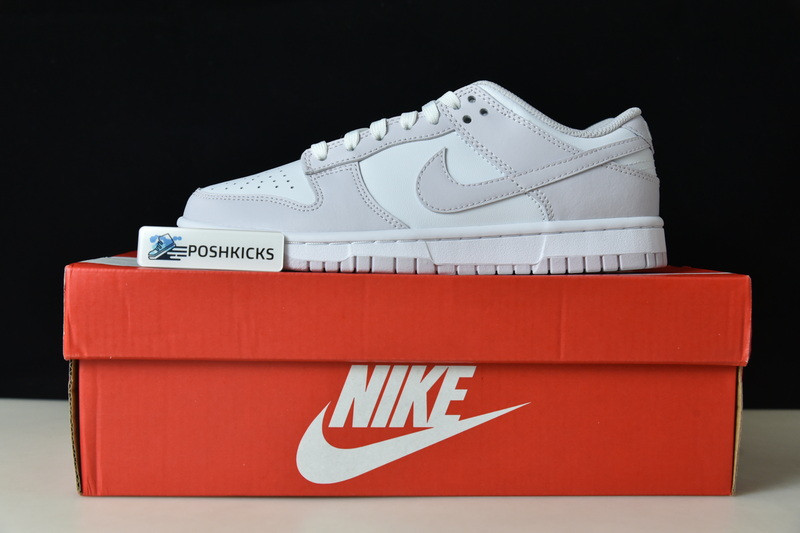 Nike Dunk Low Venice (W) DD1503-116