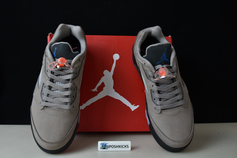 AIR JORDAN 5 LOW PSG DX6325-204