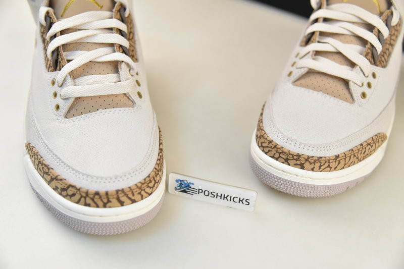 Air Jordan 3 Palomino CT8532-102