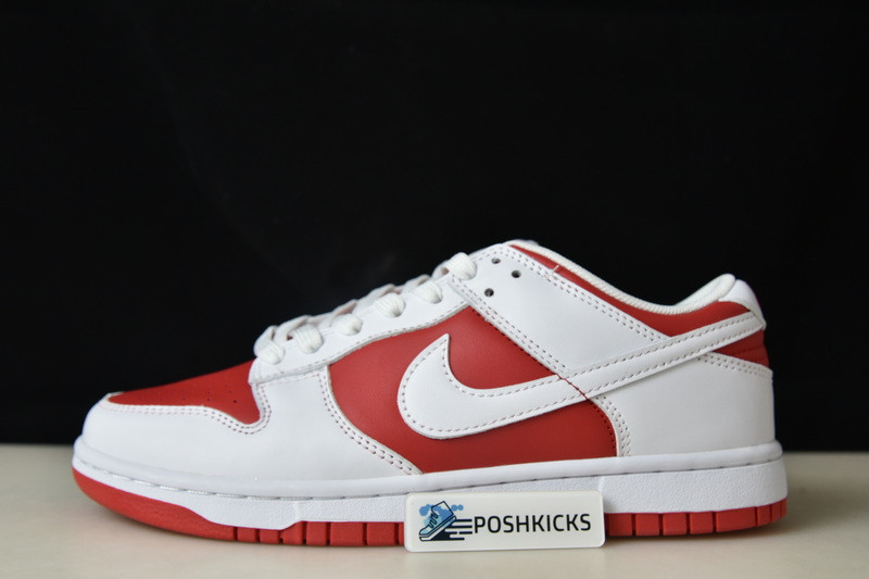 Nk Dunk Low “University Red” DD1391-600
