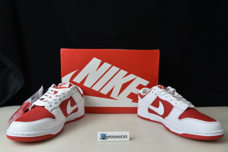 Nk Dunk Low “University Red” DD1391-600