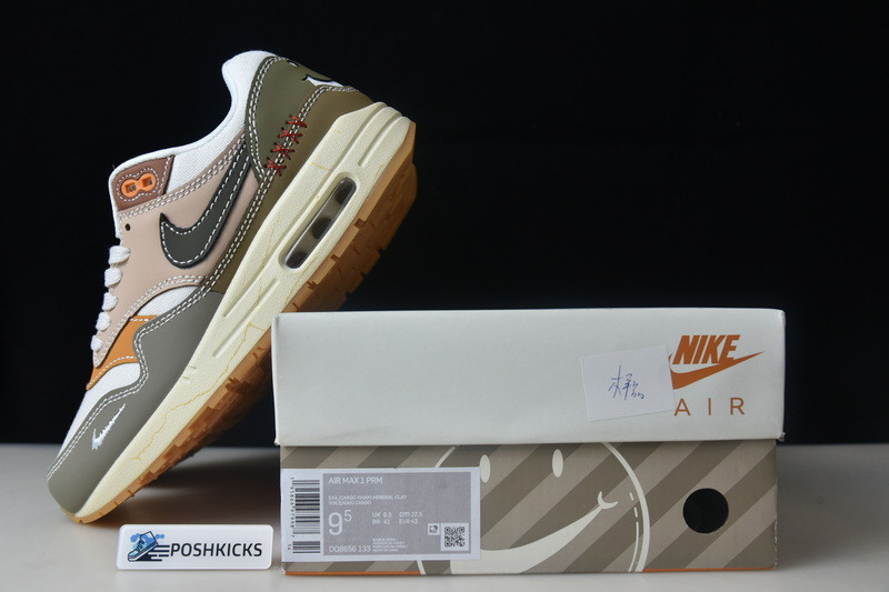 Nike Air Max 1 Premium Wabi-Sabi (W) DQ8656-133