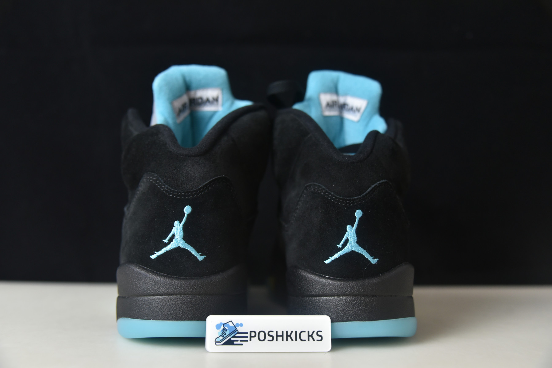 AIR JORDAN 5 "AQUA" DD0587-047