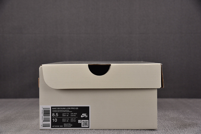 Nike SB Dunk Low "Rodeo" HF3058-300