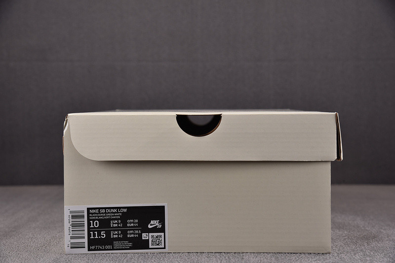 There Skateboards x Nike SB Dunk Low HF7743-001