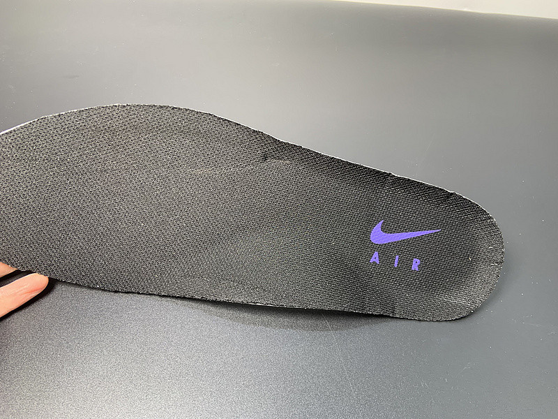 Nike Air Foamposite One Eggplant (2017) 314996-008