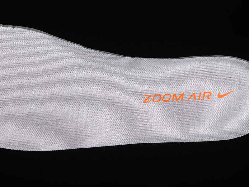 Nike Dunk SB EMB 2006 311689-181