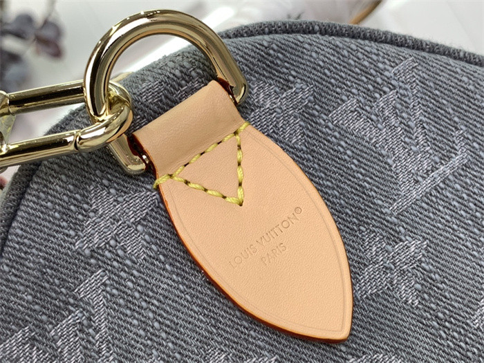 Louis Vuitton Speedy Soft 30