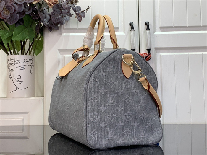 Louis Vuitton Speedy Soft 30