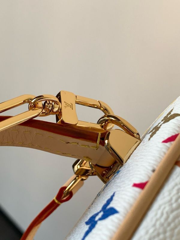 Louis Vuitton Vanity Pouch