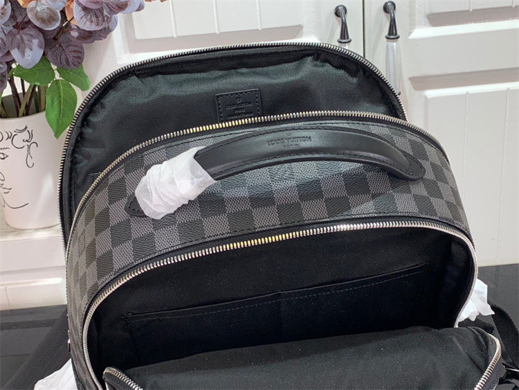 L*uis V*itton Backpack