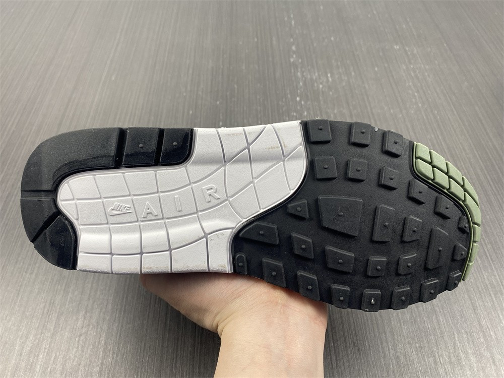 NIKE AIR MAX 1 SPIRAL SAGE DB5074-100