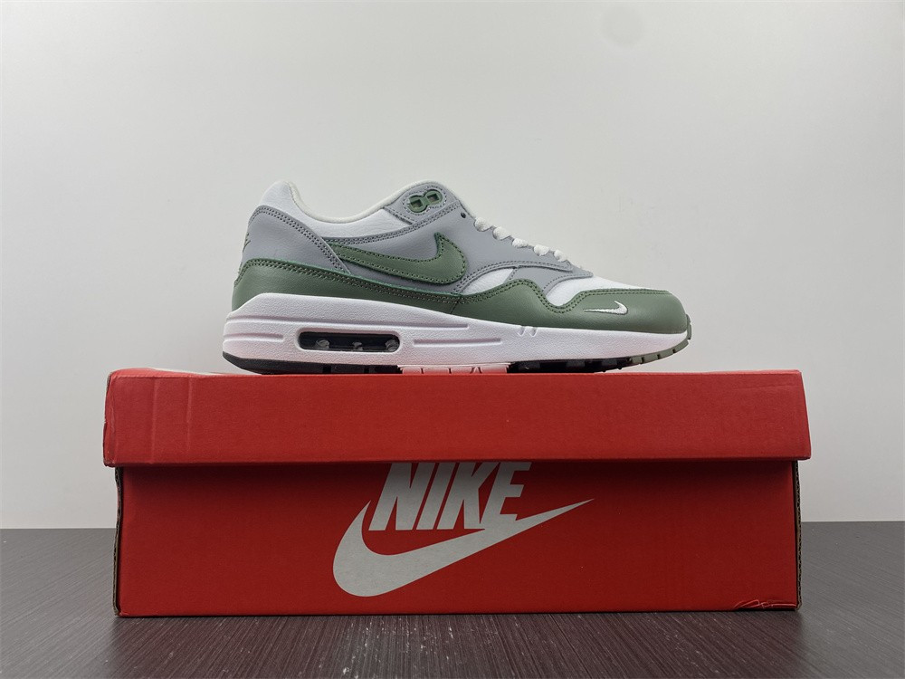 NIKE AIR MAX 1 SPIRAL SAGE DB5074-100