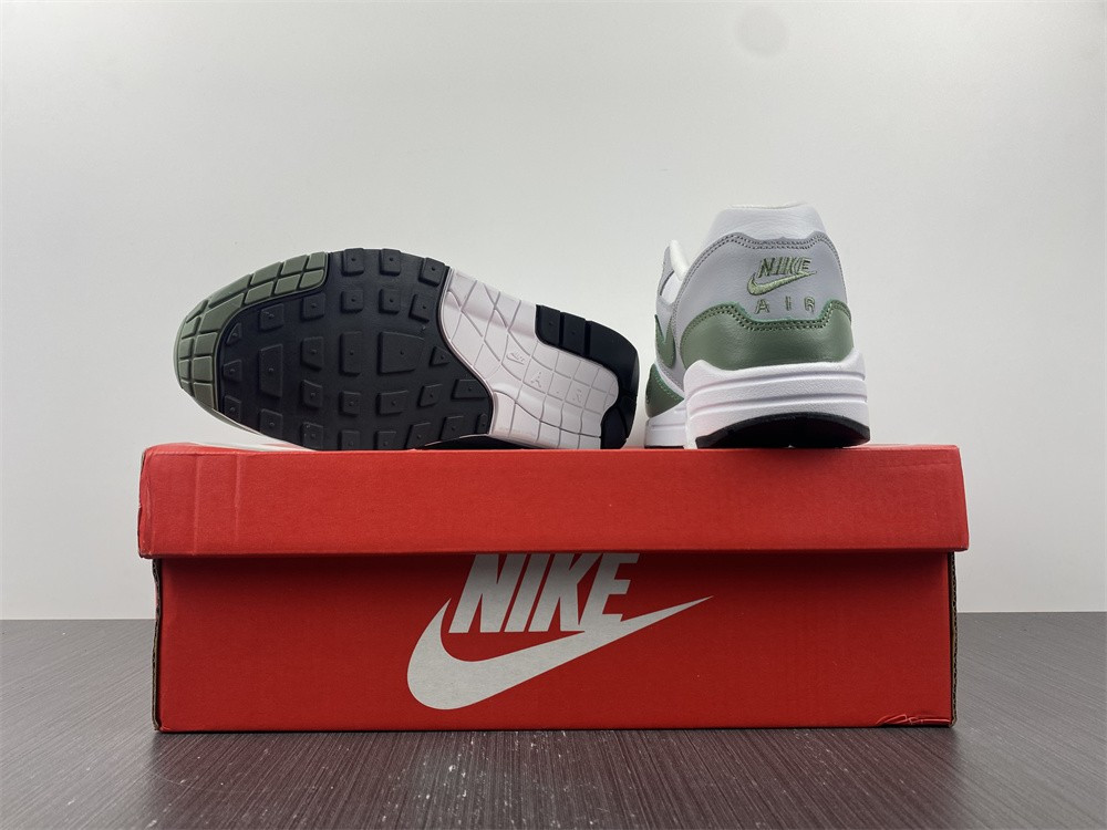 NIKE AIR MAX 1 SPIRAL SAGE DB5074-100