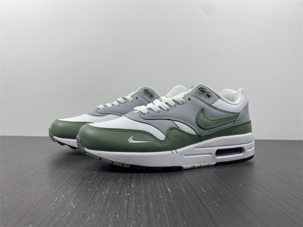 NIKE AIR MAX 1 SPIRAL SAGE DB5074-100