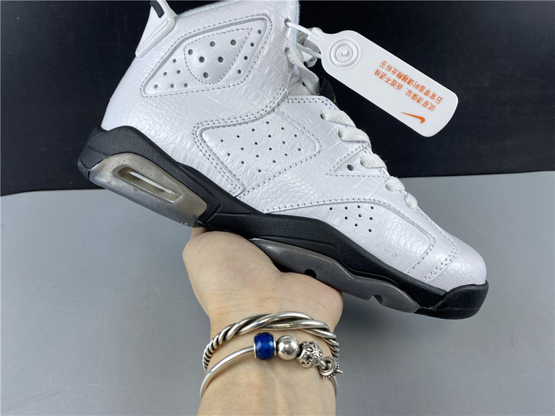 Air Jordan 6 GS Alligator 384665-110