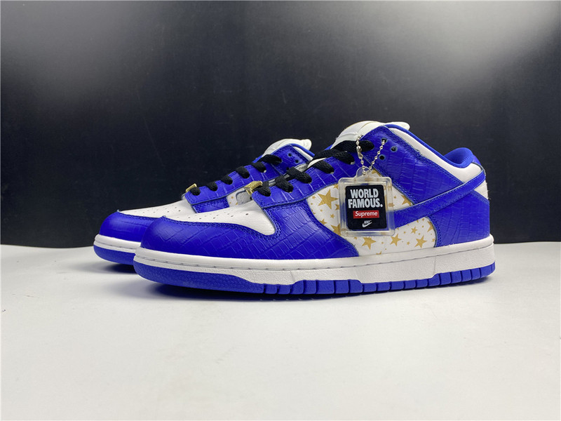 Nike SB Dunk Low DH3228-100